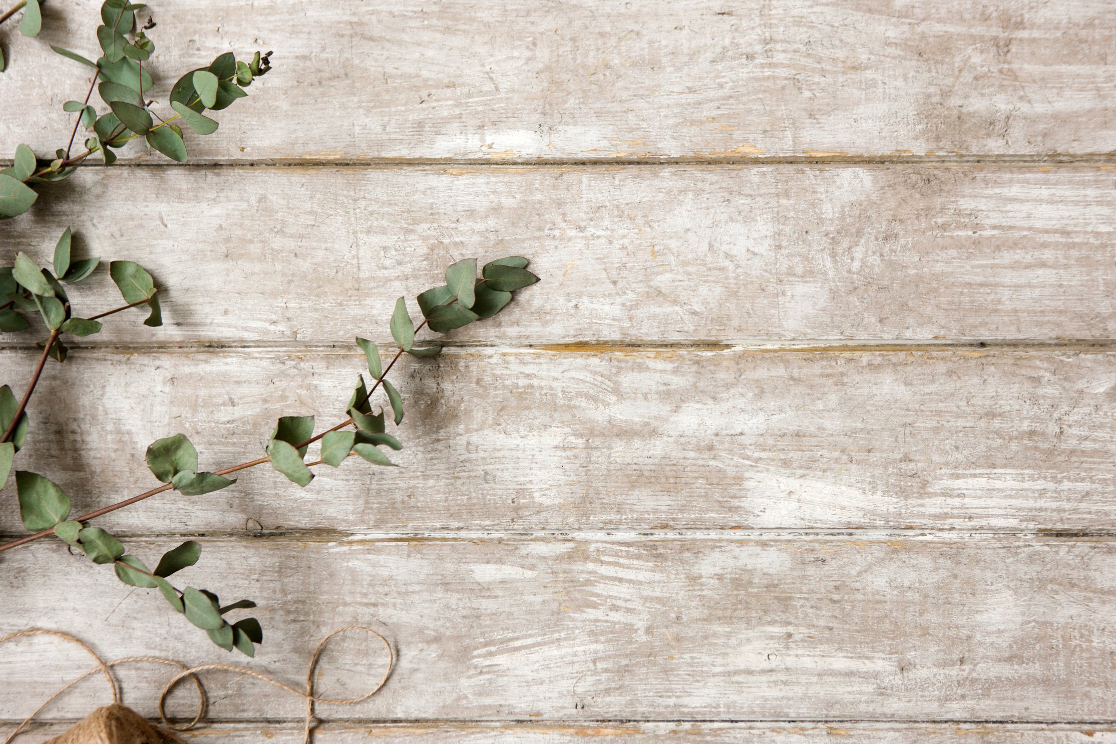 Laurel branch on wood background flat lay