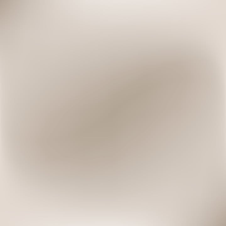 Beige soft neutral gradient  background